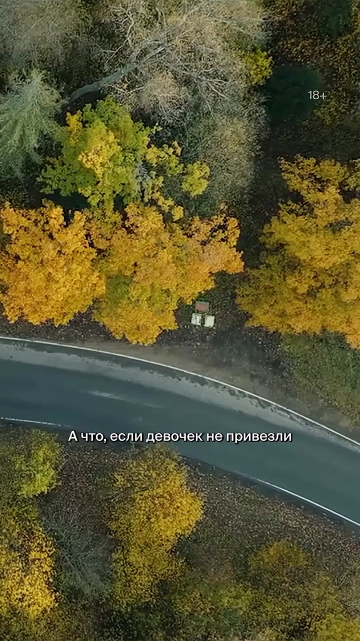 Как приручить лису — кадр из трейлера